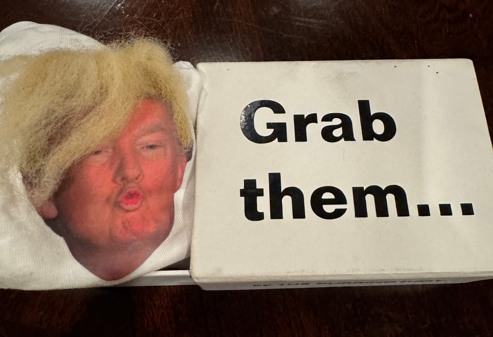 The aforementioned gifted underwear remains boxed and sits on the author's desk.  A reminder that free speech comes in many fabrics and textures.